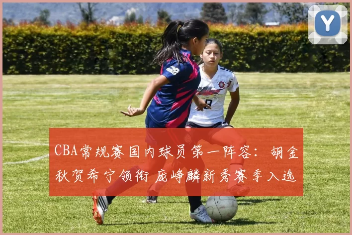 CBA常规赛国内球员第一阵容：胡金秋贺希宁领衔 庞峥麟新秀赛季入选