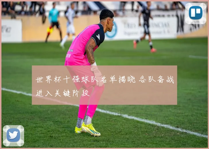 世界杯十强球队名单揭晓 各队备战进入关键阶段