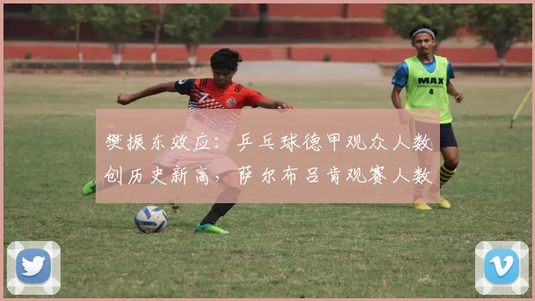 樊振东效应：乒乓球德甲观众人数创历史新高，萨尔布吕肯观赛人数激增三倍_杜塞尔多夫_本赛季_中国