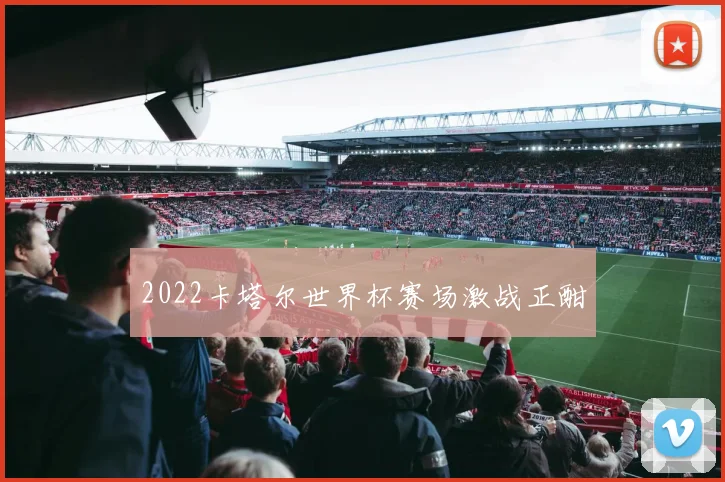 2022卡塔尔世界杯赛场激战正酣