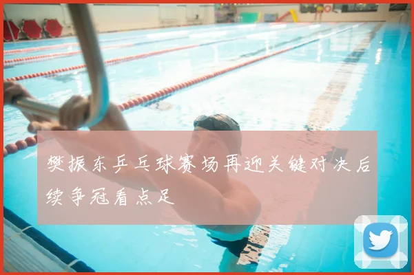 樊振东乒乓球赛场再迎关键对决后续争冠看点足