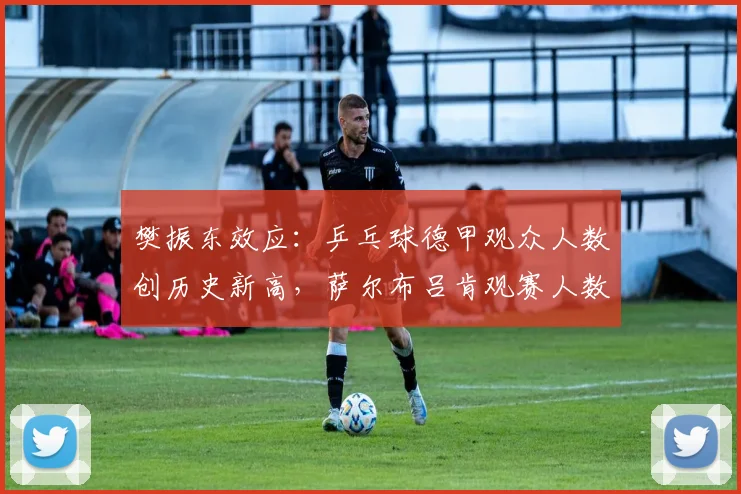 樊振东效应：乒乓球德甲观众人数创历史新高，萨尔布吕肯观赛人数激增三倍_杜塞尔多夫_本赛季_中国